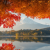 NHẬT BẢN | TOKYO - FUJI - NAGOYA - KYOTO - OSAKA | 6N5Đ | VIETNAM AIRLINES