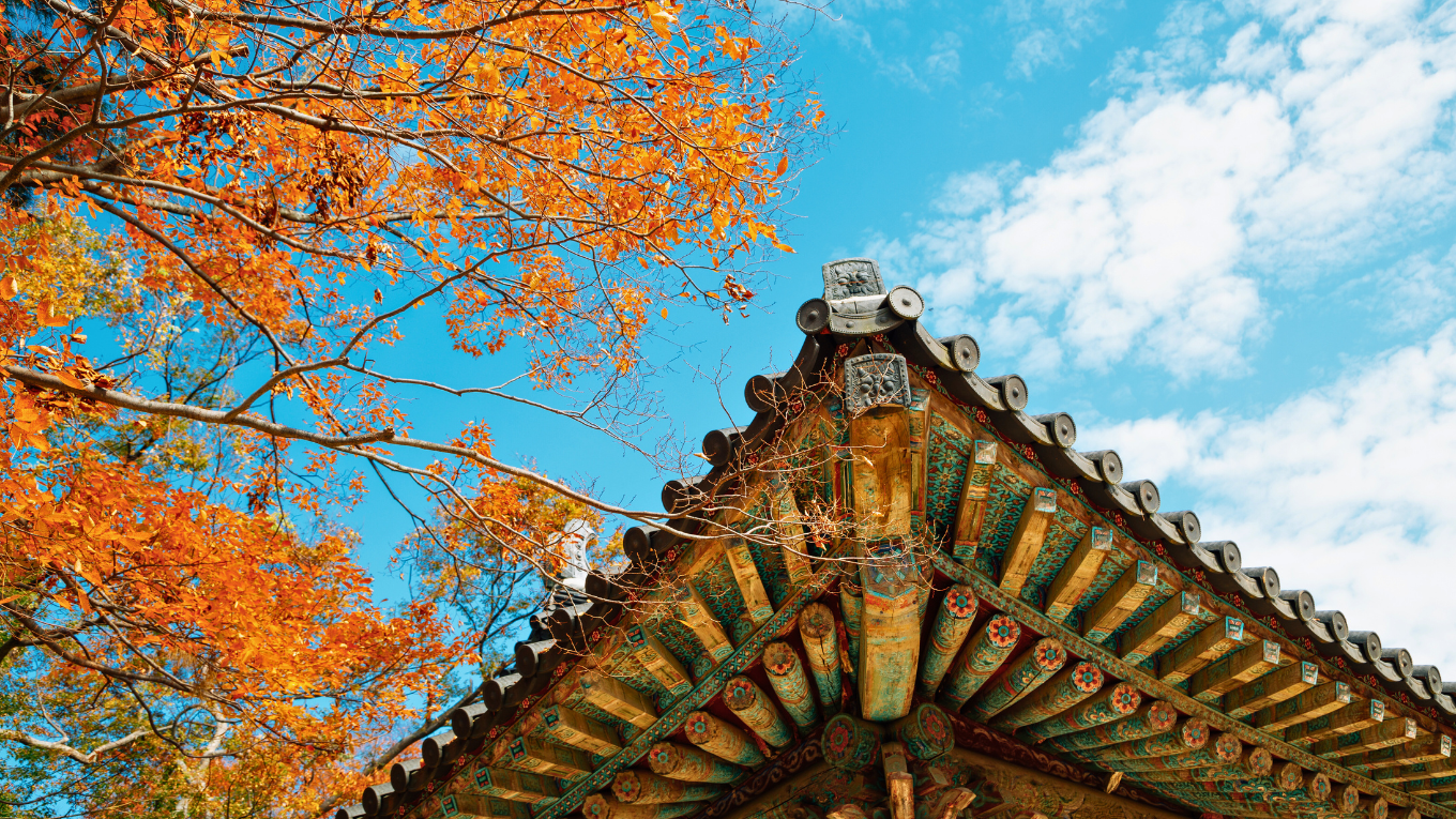 Hàn Quốc Mùa Thu | Seoul - Everland - Nami - Làng cổ | 5N4Đ