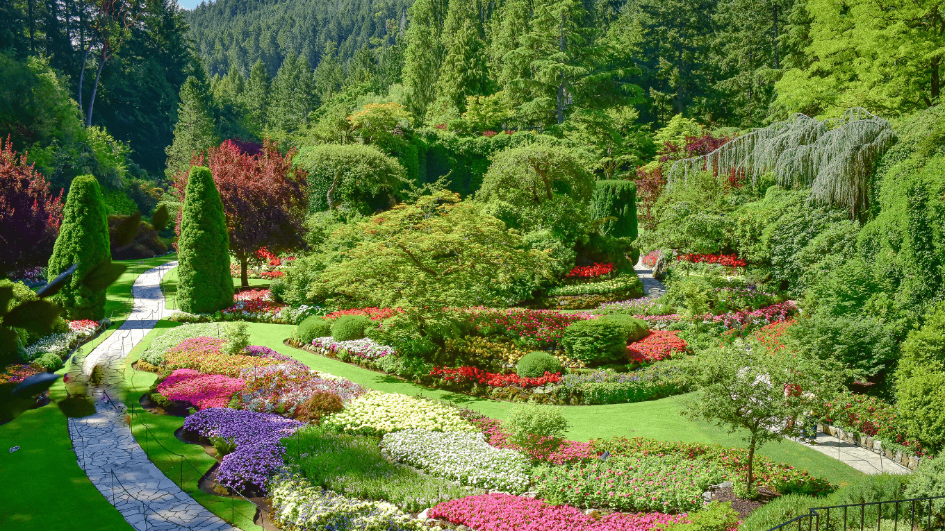 vuon-hoa-Buchart-vancouver-canada-01