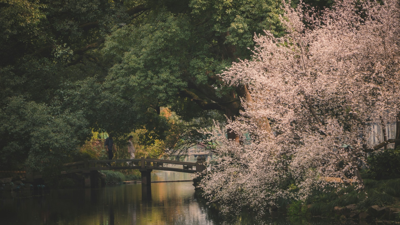 TRUNG QUỐC | THƯỢNG HẢI - HÀNG CHÂU - Ô TRẤN | 5N4Đ | NOSHOP