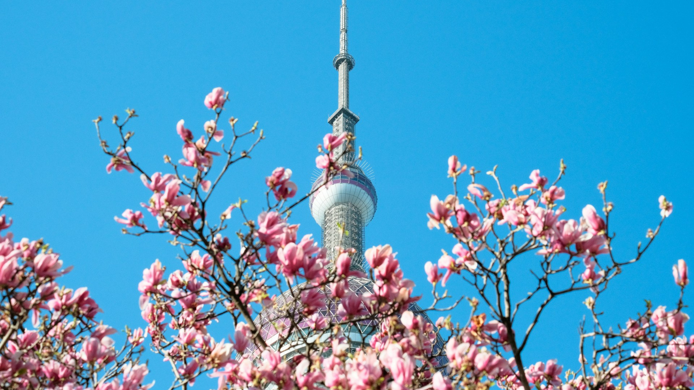 TRUNG QUỐC | THƯỢNG HẢI - HÀNG CHÂU - Ô TRẤN (Option DISNEYLAND THƯỢNG HẢI) | 5N4Đ | VIETNAM AIRLINES