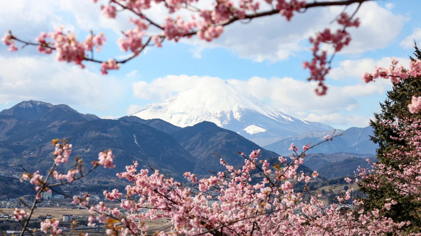 NHẬT BẢN | TOKYO - YAMANASHI - NAGOYA - KYOTO - OSAKA | 6N5Đ | VIETNAM AIRLINES