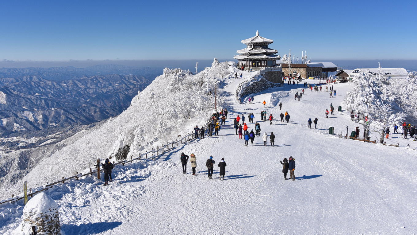 HÀN QUỐC | ĐẢO NAMI - TRƯỢT TUYẾT ELYSIAN GANGCHON - SEOUL - LOTTE WORLD | 5N4Đ | VIETNAM AIRLINES