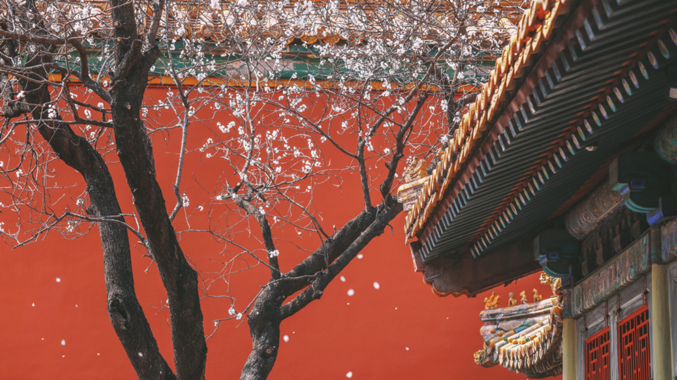 TRUNG QUỐC | KHÁM PHÁ BẮC KINH | DI HOA VIÊN - TỬ CẤM THÀNH - THIÊN AN MÔN - VẠN LÝ TRƯỜNG THÀNH | 4N4Đ | NOSHOP