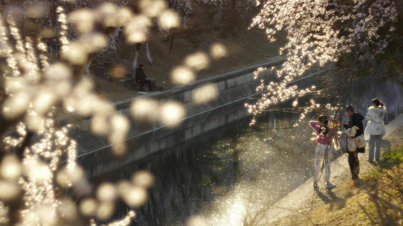 TRUNG QUỐC | BẮC KINH - TÔ CHÂU - Ô TRẤN - HÀNG CHÂU - THƯỢNG HẢI | 6N6Đ | NOSHOP