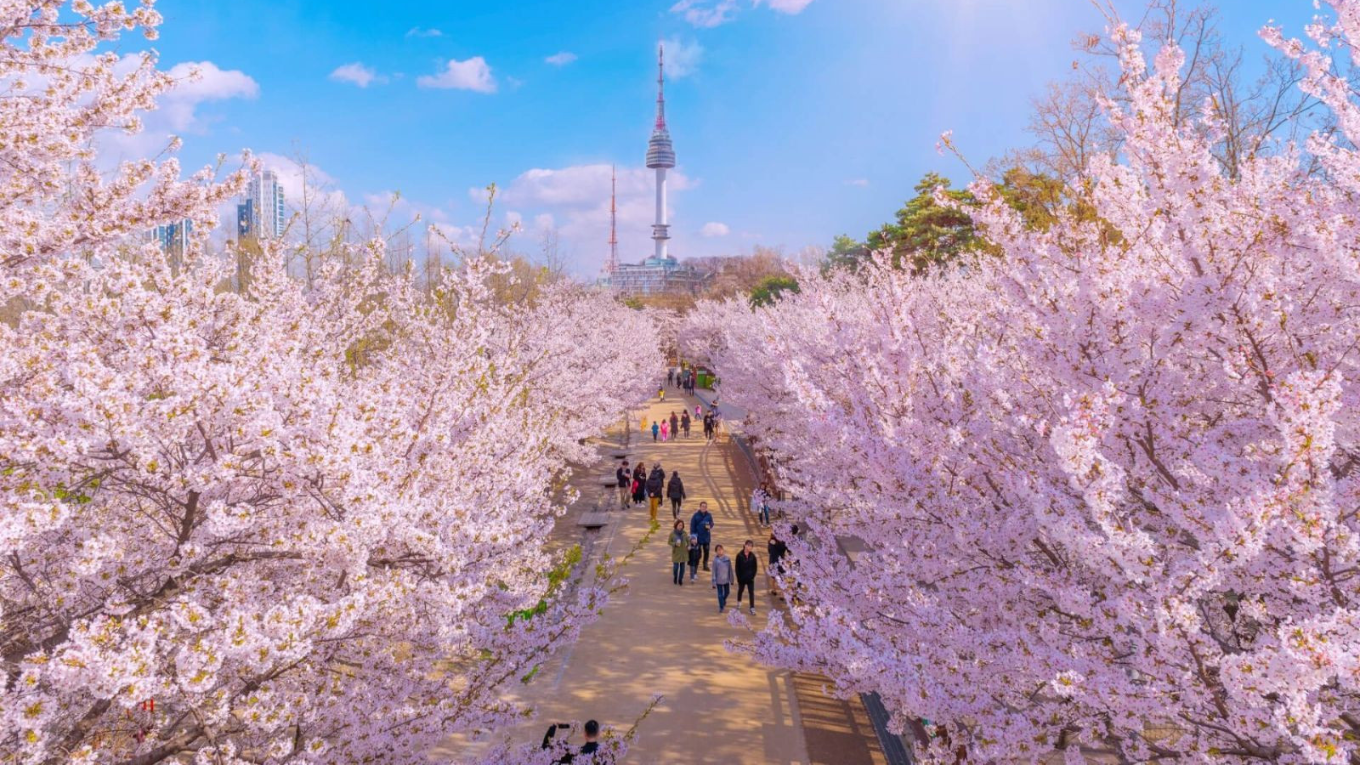 HÀN QUỐC | ĐẢO NAMI - SEOUL - EVERLAND | 5N4Đ | VIETJET AIR