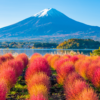 NHẬT BẢN | OSAKA - KYOTO - NAGOYA - FUJI - YAMANASHI | 6N5Đ | VIETJET AIR