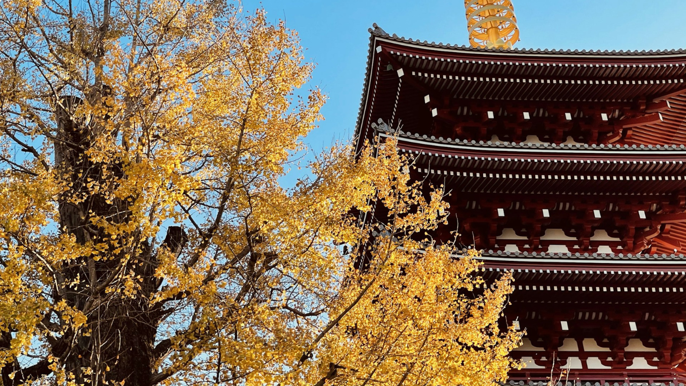 Chua Asakusa mua thu nhat ban (3)
