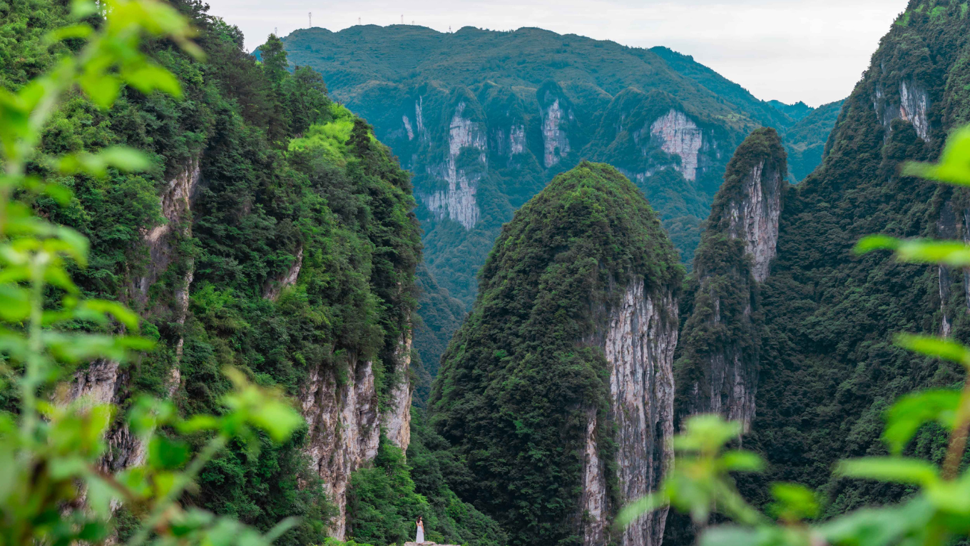 mieu trai tuong tay truong gia gioi (3)