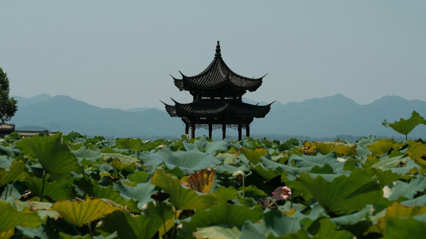 tay ho hang chau