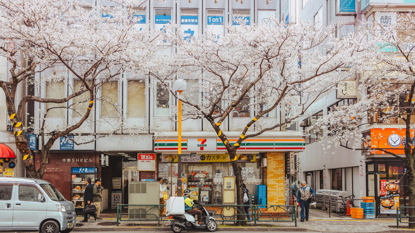 tokyo hoa anh dao